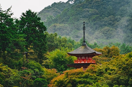 探秘青龙寺：北京一个神秘的古寺