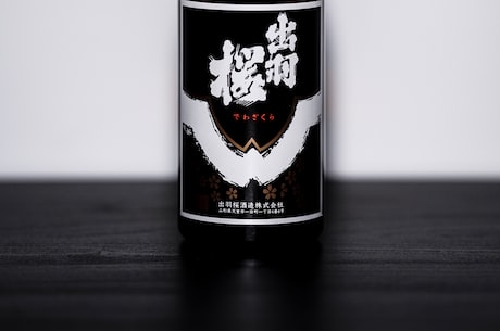 大胆坦白，才能有严整治——阿阮有酒的办案艺术